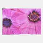 Pink Flowers Gerbera Daisy Floral Kitchen Towel at Zazzle