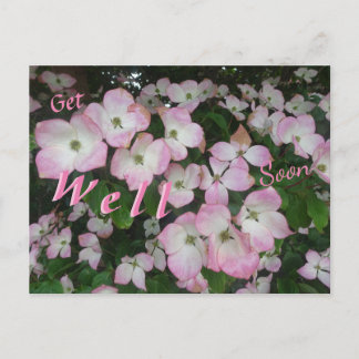 Pink Flowers Get Well Soon Postcard