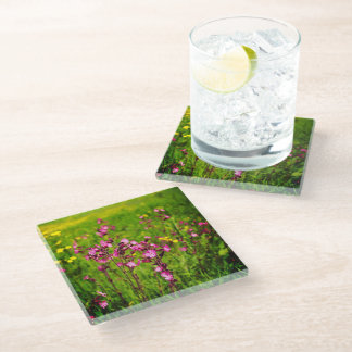 Pink flowers glass coaster