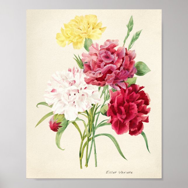 pink flowers illustration for artsy poster (Front)