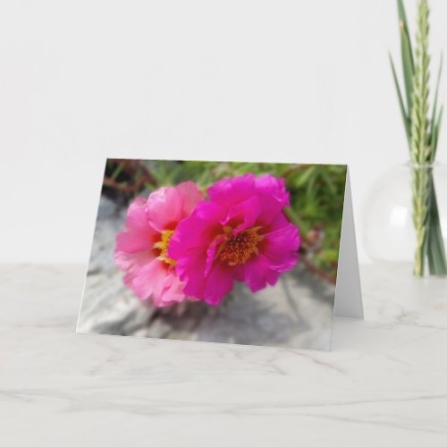 Pink flowers in the sun card