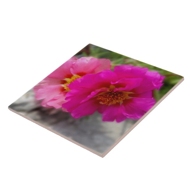 Pink flowers in the sun ceramic tile (Side)