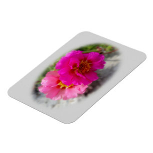 Pink flowers in the sun magnet