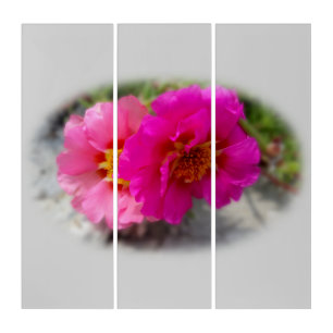 Pink flowers in the sun triptych