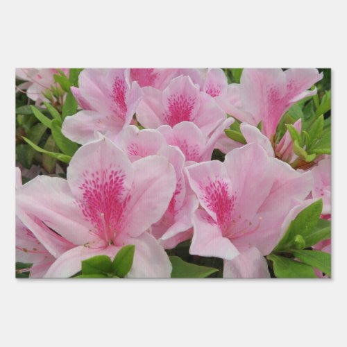 pink Flowersjapaneseasianchinesefashiongreeti Sign