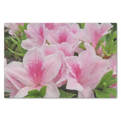pink Flowersjapaneseasianchinesefashiongreeti Tissue Paper