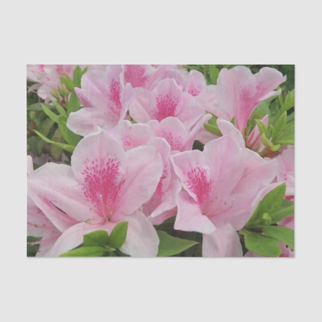 pink Flowers,japanese,asian,chinese,fashion,greeti Tissue Paper (Front)