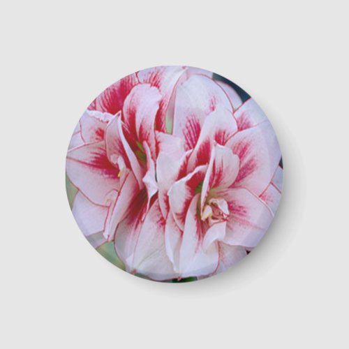 Pink Flowers Magnet