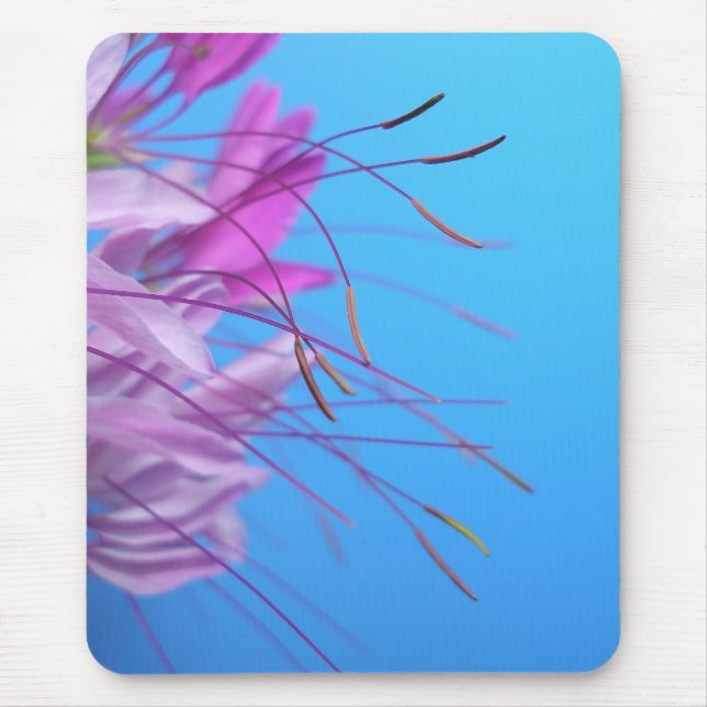 Pink Flowers Mouse Pad (Front)