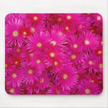 Pink Flowers Mousepad by gavila_pt at Zazzle