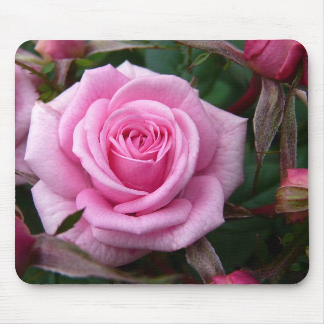 Pink Flowers Mousepad Red Rose Decor Gifts (Front)