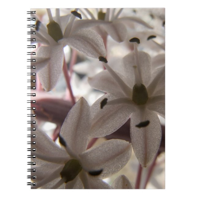 Pink Flowers Notebook (Front)