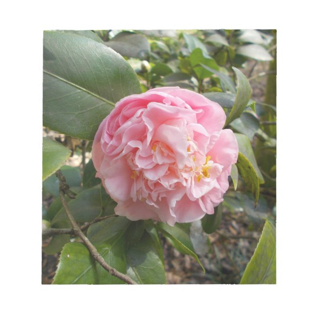 Pink Flowers Notepad (Front)