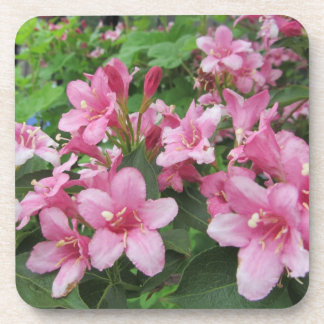 Pink Flowers of Germany Coaster