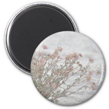 Pink Flowers On White Sand Magnet by LeFlange at Zazzle