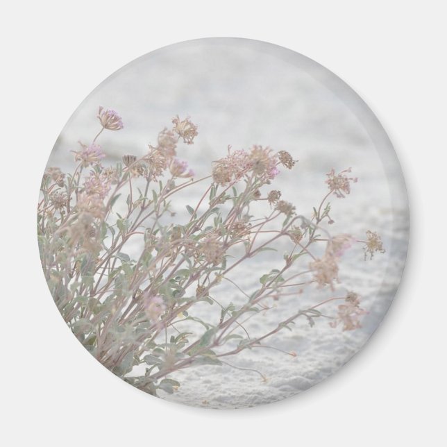 Pink Flowers On White Sand Magnet (Front)