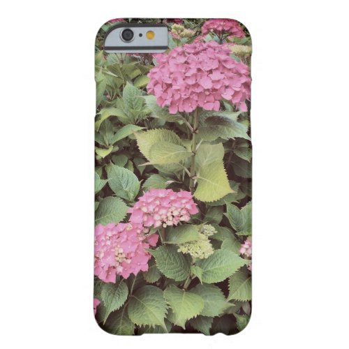 Pink  Flowers Photo iPhone 66s Barely There Barely There iPhone 6 Case
