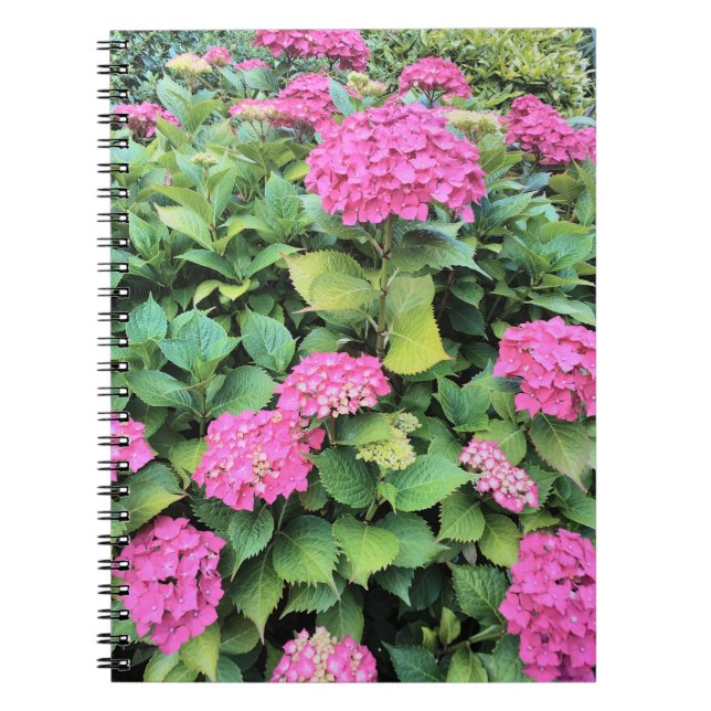 Pink Flowers Photo Notebook (Front)