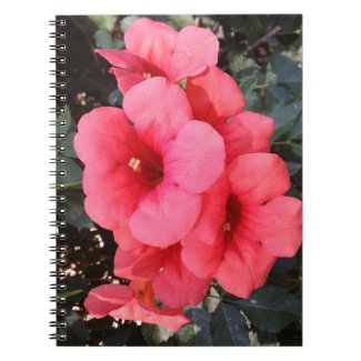 Pink Flowers Photo Notebook
