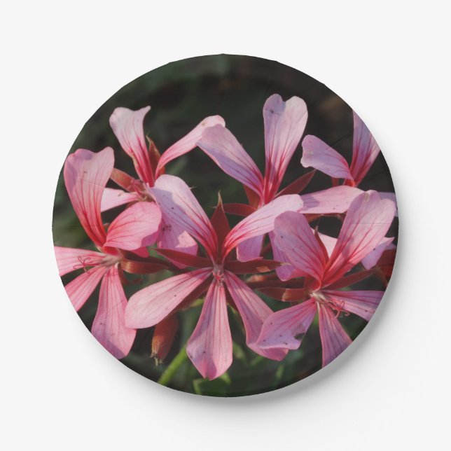 Pink FLowers Photo Paper Plates 7 in (Front)
