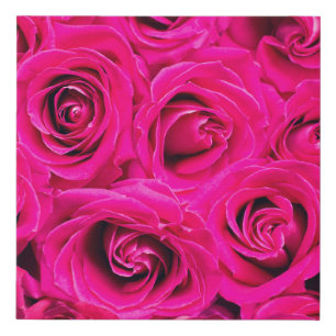 Pink flowers roses background faux canvas print