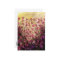 Pink Flowers