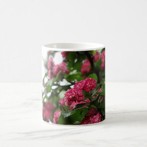 Pink Flowers Tree Photo Mug