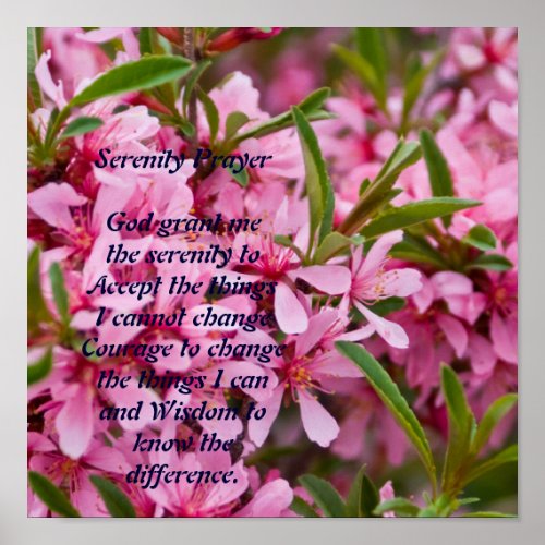 Pink Flowers with Serenity Prayer on Canvas Poster