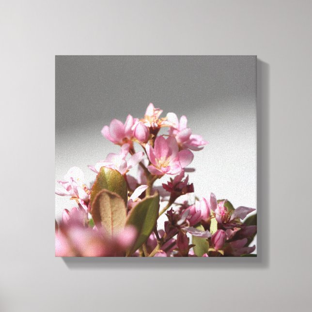 Pink Flowers Wrapped Canvas Print (Front)
