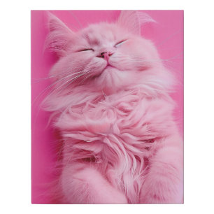 Pink Fluffy Cat Laying On Its Back Faux Canvas Print