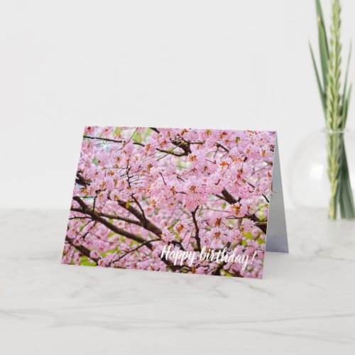 Pink Foam Of Cherry Blossoms Over The Sakura Trees Card