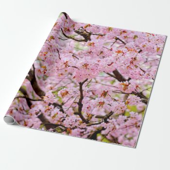 Pink Foam Of Cherry Blossoms Over The Sakura Trees Wrapping Paper by DigitalSolutions2u at Zazzle