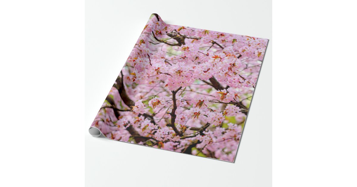 CHERRY BLOSSOM WRAPPING PAPER