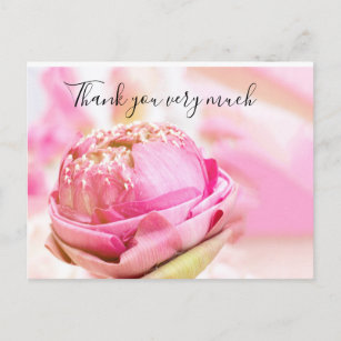 Pink folded lotus in pink background Thank You Postcard