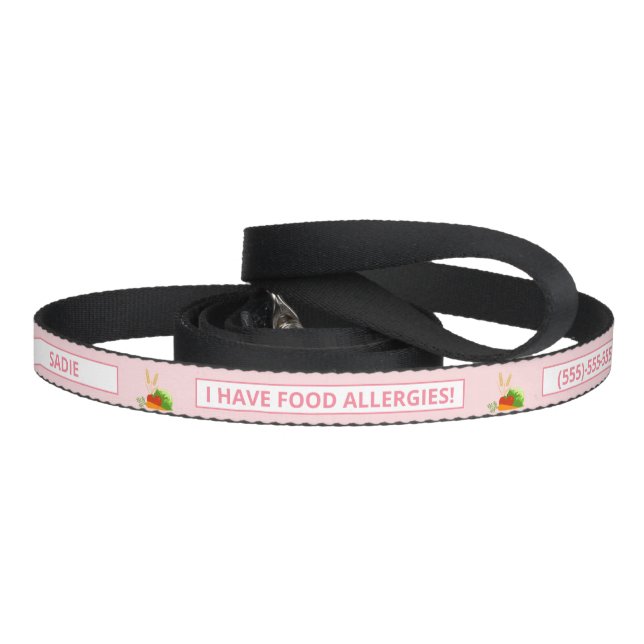 Pink Food Allergies W/ Custom Info & Cartoon Foods Pet Leash (Handle)