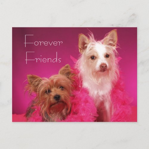 Pink Forever Friends Friendship Postcard