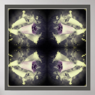 Pink Foxglove Flower Black And White Abstract  Poster