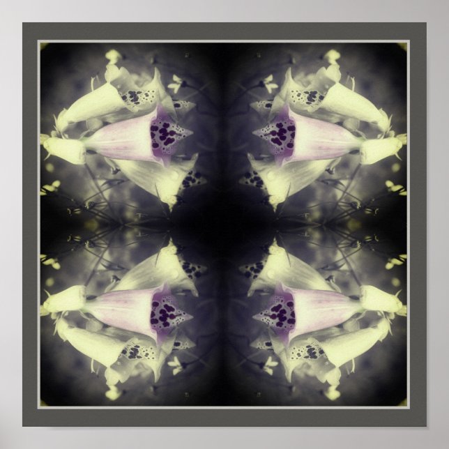 Pink Foxglove Flower Black And White Abstract  Poster (Front)