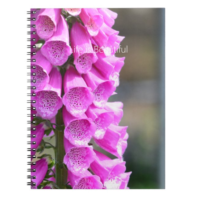 Pink Foxglove Flowers (my photography) Notebook (Front)