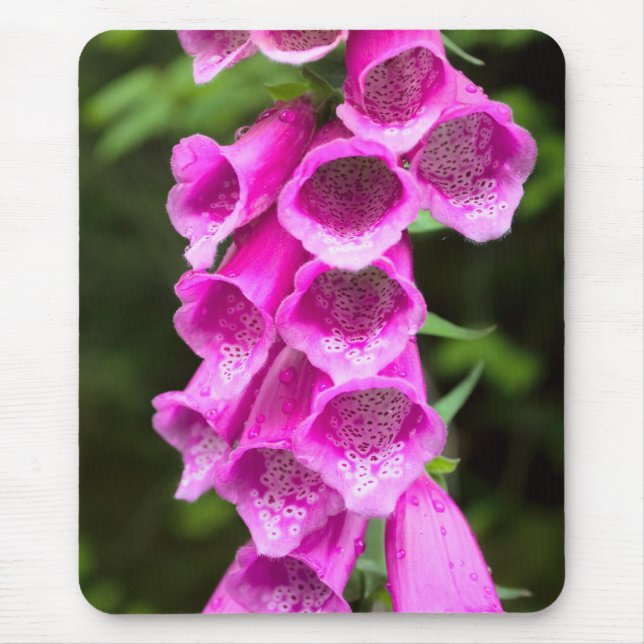 Pink Foxglove Mousepad (Front)