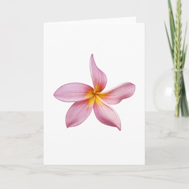 pink frangi panni card (Front)