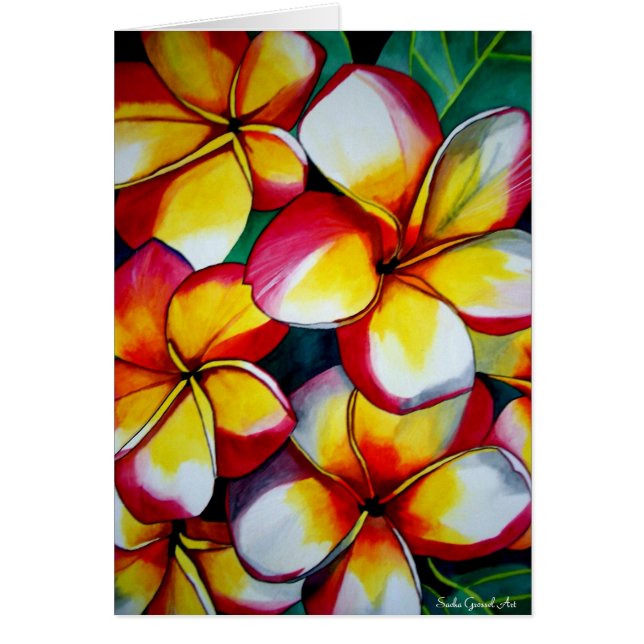 Pink Frangipani flower card by Sacha Grossel Art (Front)