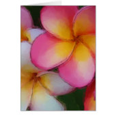 Pink Frangipani Plumeria Flowers (Front)