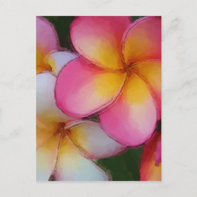 Pink Frangipani Plumeria Flowers Postcard (Front)