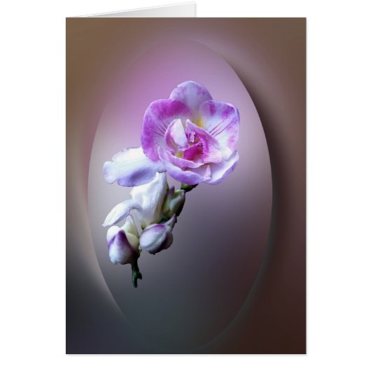 pink freesia flower cards (Front)