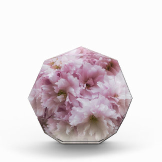 Pink Frills Photo Block