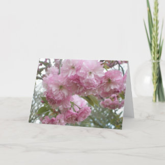 Pink-Fringed Blossoms Card