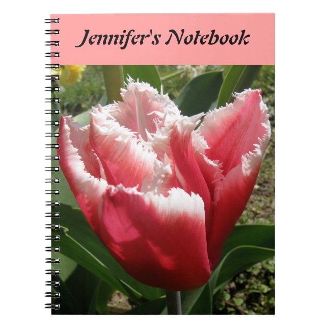 Pink Fringed Tulip Customizable Notebook (Front)