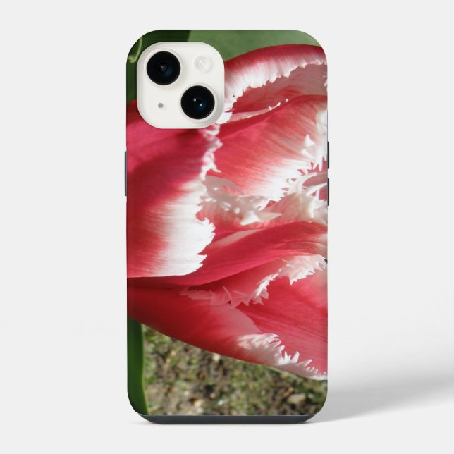 Pink Fringed Tulip Iphone Case (Back)