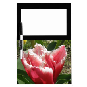 Pink Fringed Tulip Memo Board